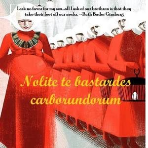 Meet your Posher, Jo